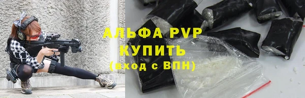 дживик Верея