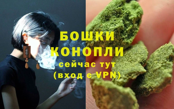 дживик Верея
